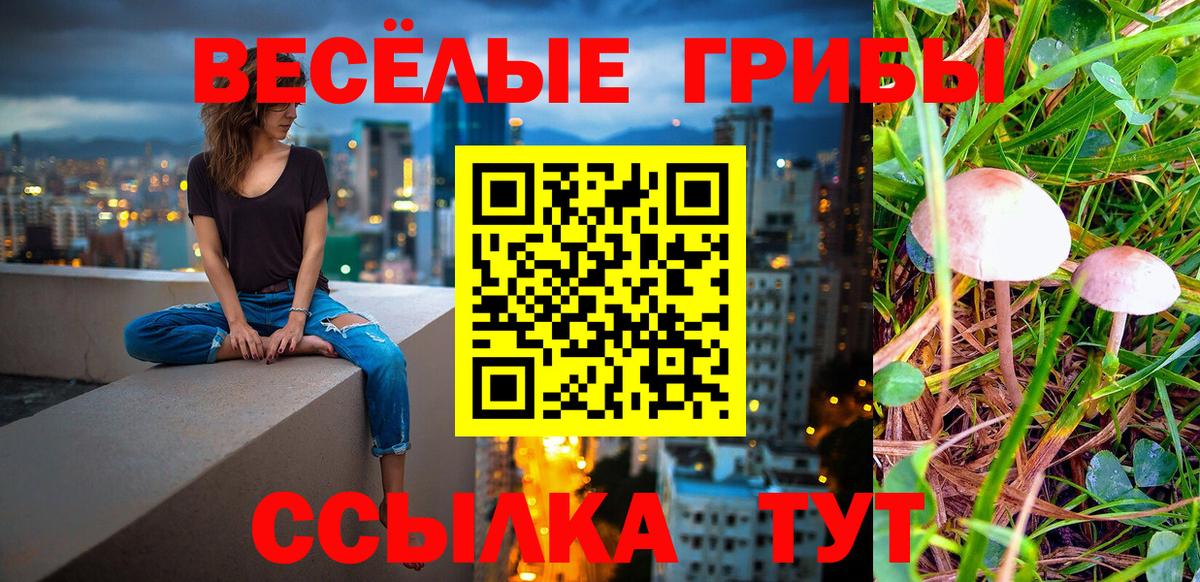 Псилоцибиновые грибы MAGIC MUSHROOMS Хабаровск